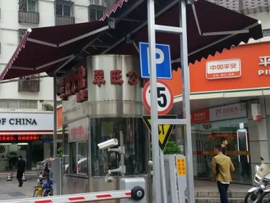 特殊結(jié)構(gòu)蓬